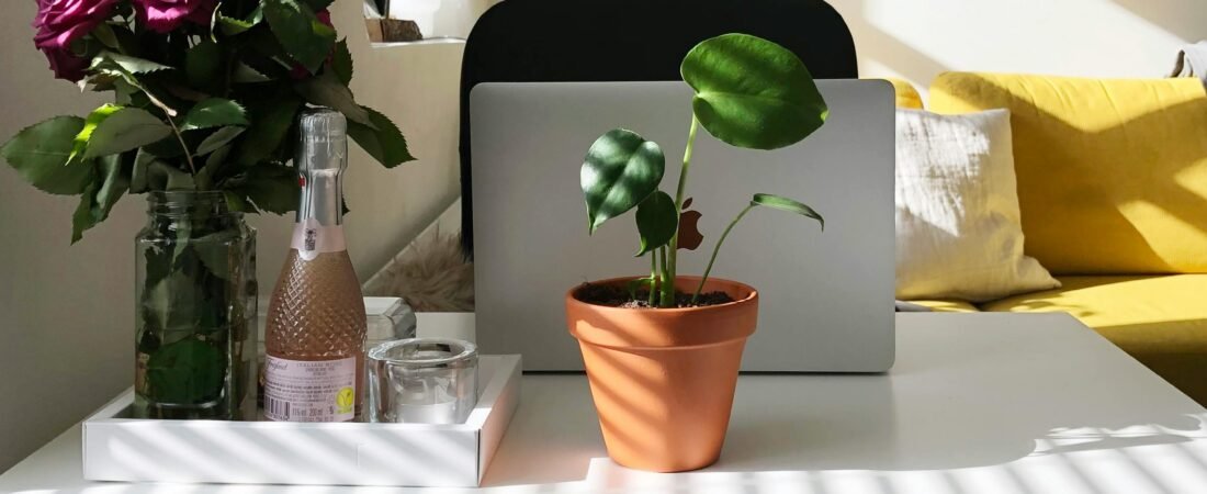 Trabalho home office como renda extra